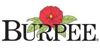 Burpee Logo